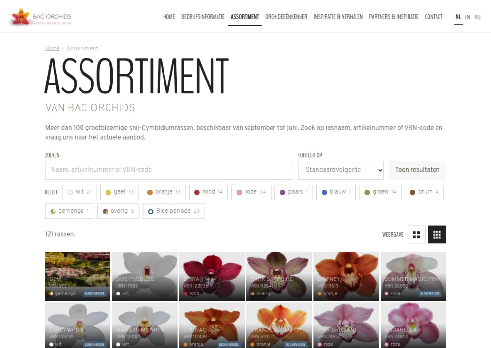 Assortiment van BAC Orchids met zoeken op rasnaam of VBN-code, kleurfilters en foto's van Cymbidiumrassen